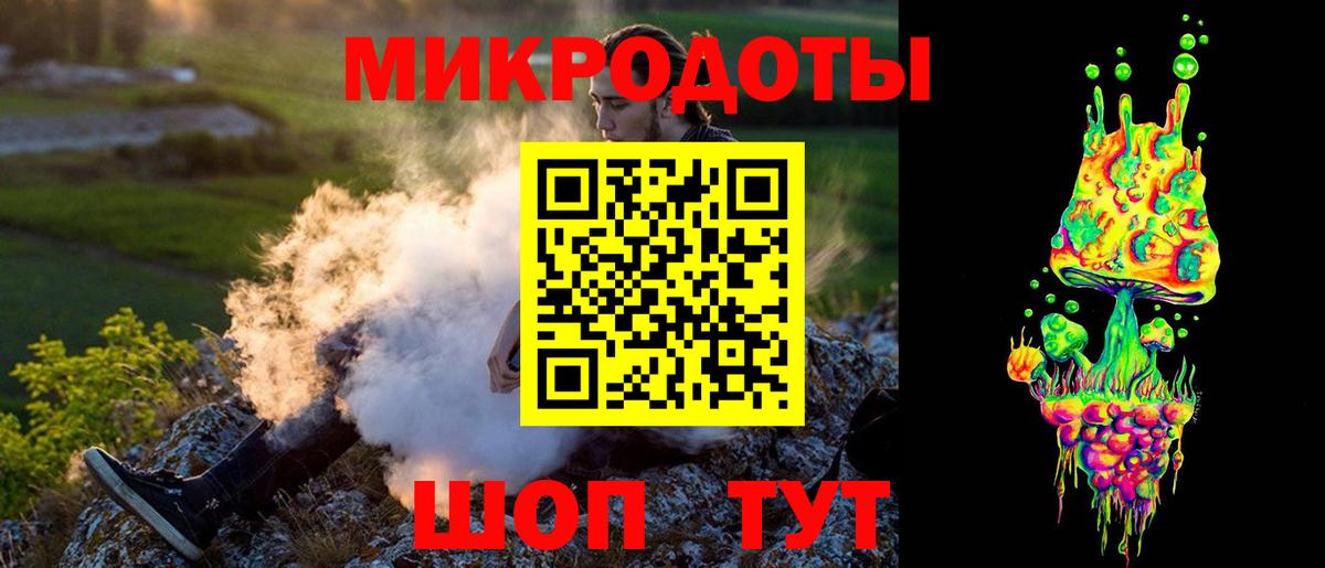 Псилоцибиновые грибы Psilocybe Алушта